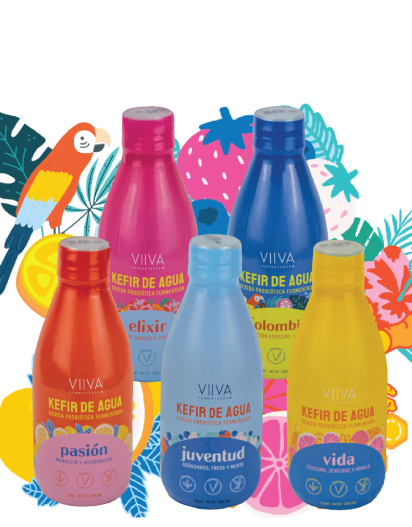 Sixpack (6) Kefir de Agua