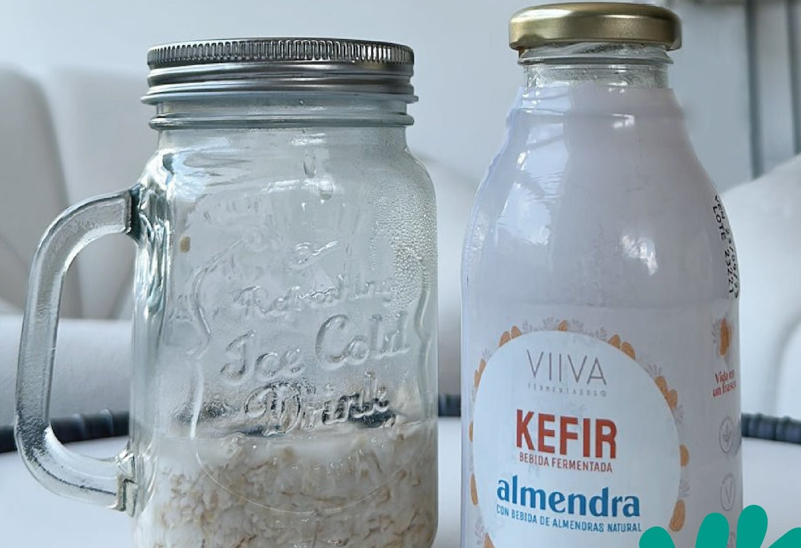 Overnight Oats / Avena trasnochada