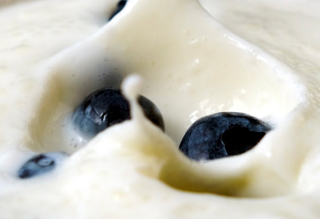 ¿Kefir o Yogurt?