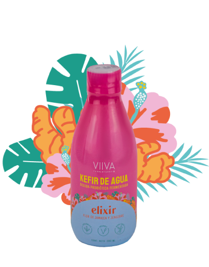 Kefir de Agua