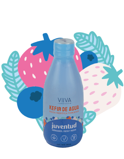 Kefir de agua – Juventud (Arándanos, Fresa y Menta)
