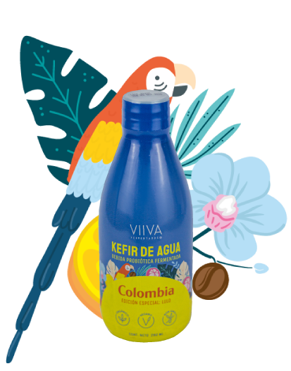 Kefir de agua – Colombia (Lulo)