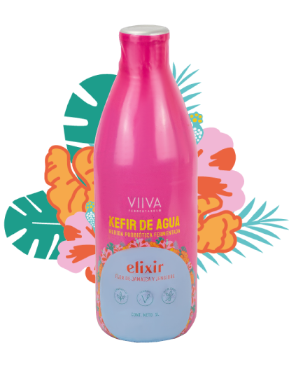 Kefir de agua – Elixir (Flor de Jamaica y Jengibre)