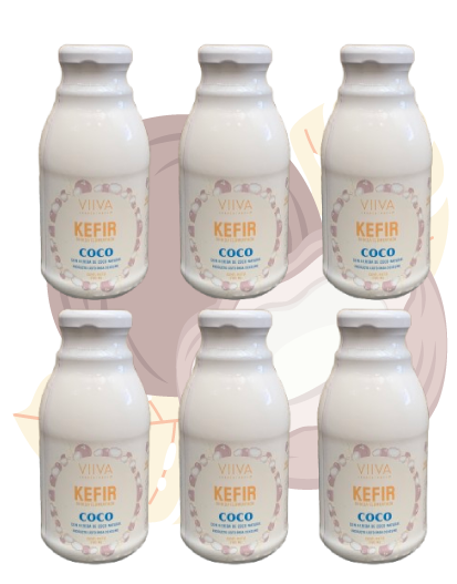Sixpack (6) Kefir de Bebida de Coco 280ml